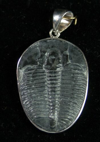 Sterling Silver Elrathia Trilobite Pendant #9141